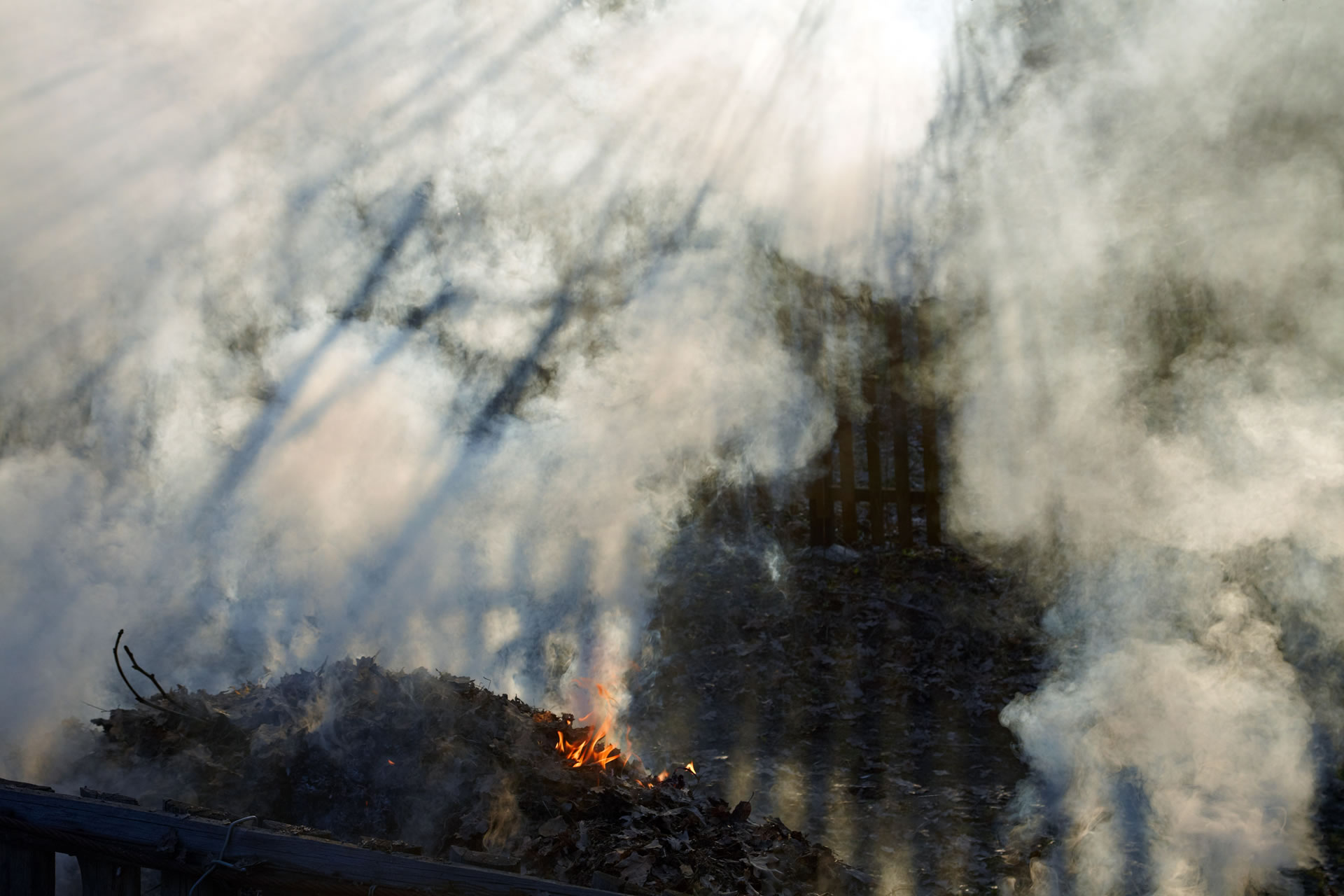 Incêndios recentes reforçam a importância do cuidado no manejo do fogo em áreas rurais