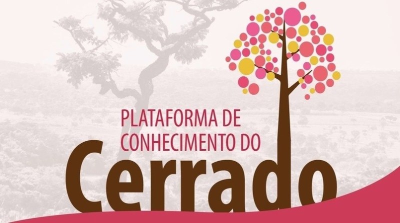 Universidade Federal de Goiás lança plataforma colaborativa de conhecimento sobre o bioma Cerrado