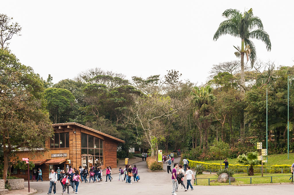 A estratégia de combate a incêndio do Parque Zoológico de São Paulo: preservando mata e salvando vidas