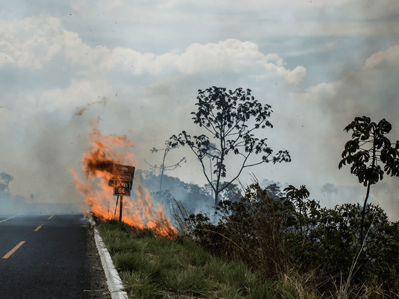 Real Expresso e Gipsyy apoiam ações de combate a incêndios no Cerrado