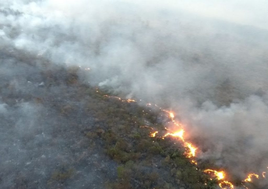 Podcast sobre Operação Corta-Fogo mostra trabalho conjunto para combater incêndios florestais