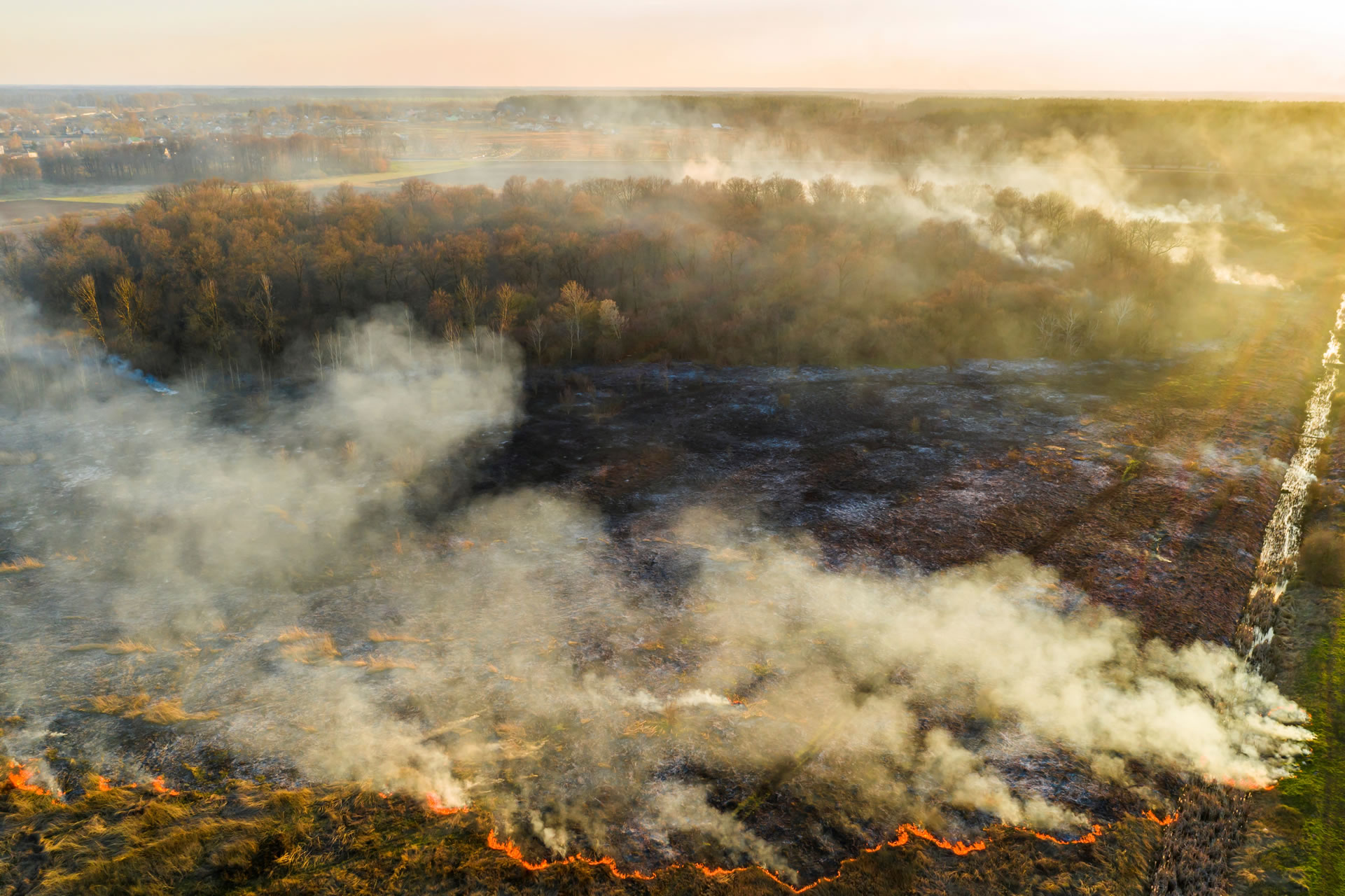Estado do AM teve em agosto o maior número de queimadas de toda a Amazônia desde 2000