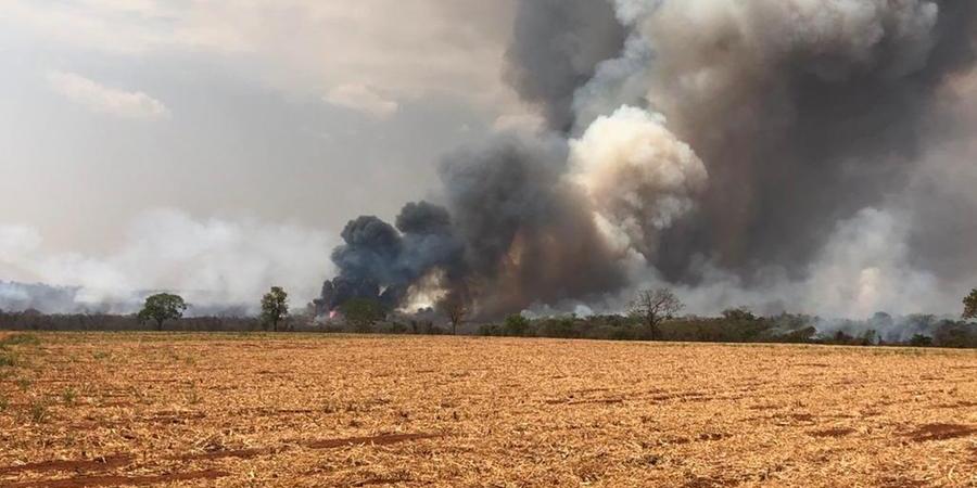 IAC estima investimento de R$ 690 milhões em ações de combate a incêndios em lavouras de cana no país