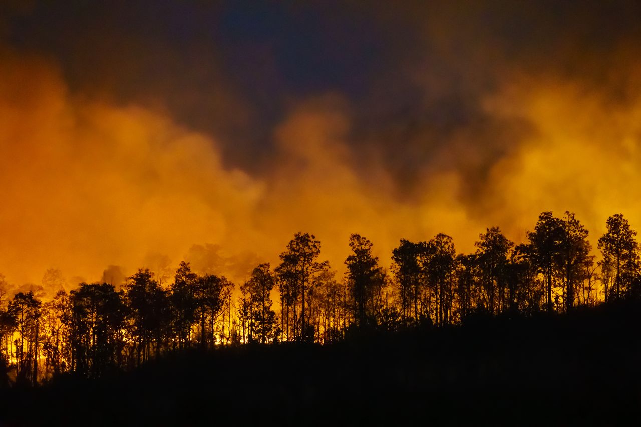 Órgãos ambientais aprovam nova ferramenta de combate a incêndios
