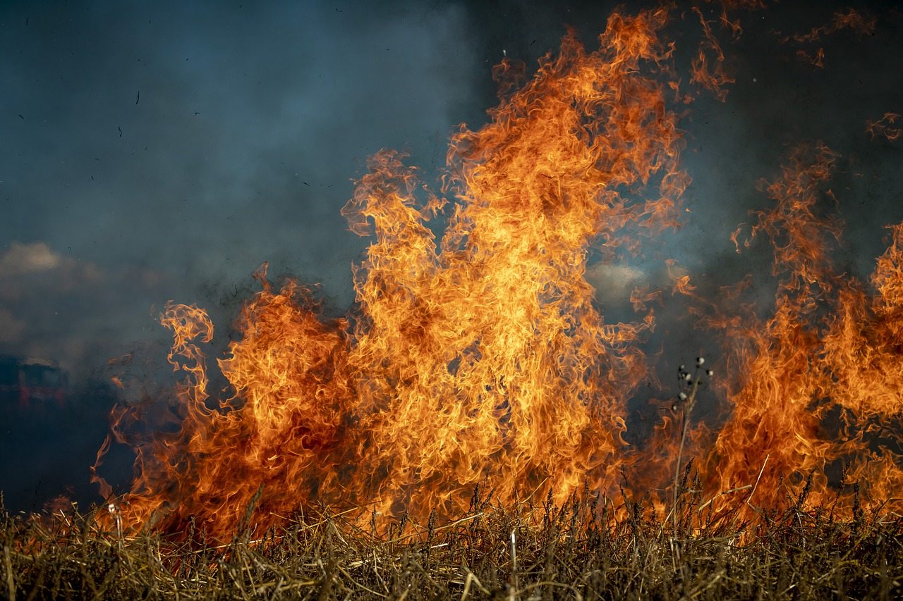 Estudo da CNM revela novos dados de incêndios florestais no país