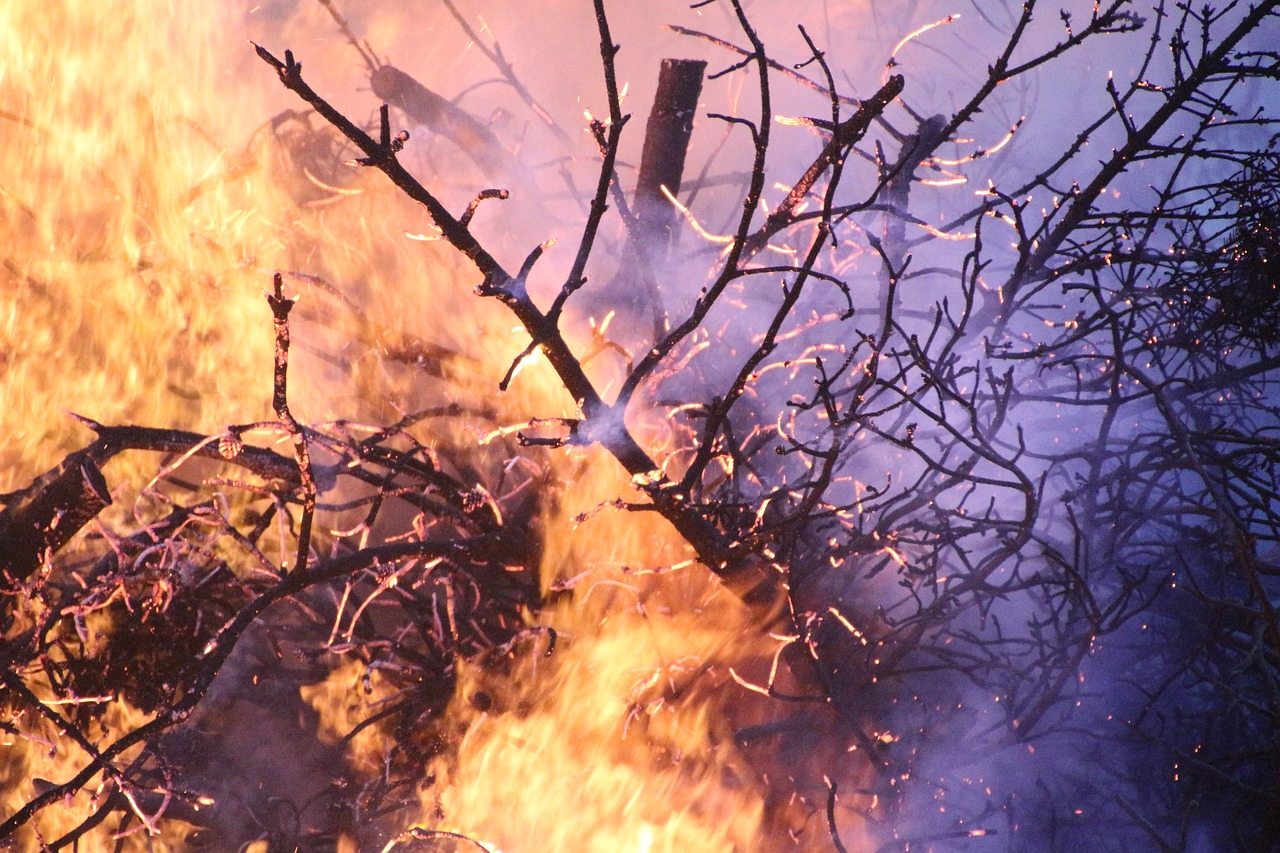 Lei Geral do Licenciamento Ambiental pode multiplicar queimadas no Centro-Oeste e no Norte
