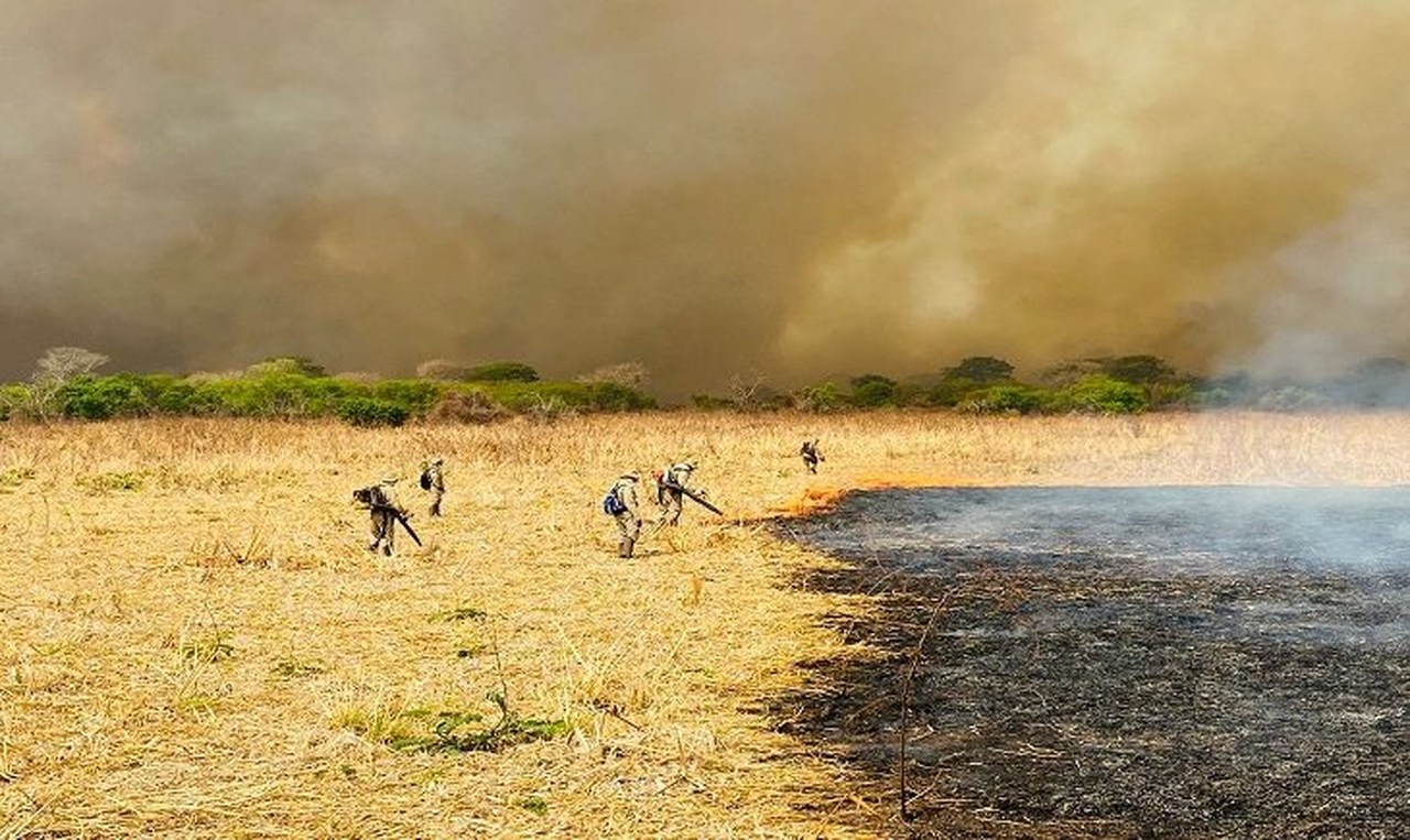 Modelagem matemática é usada para analisar incêndios no Pantanal