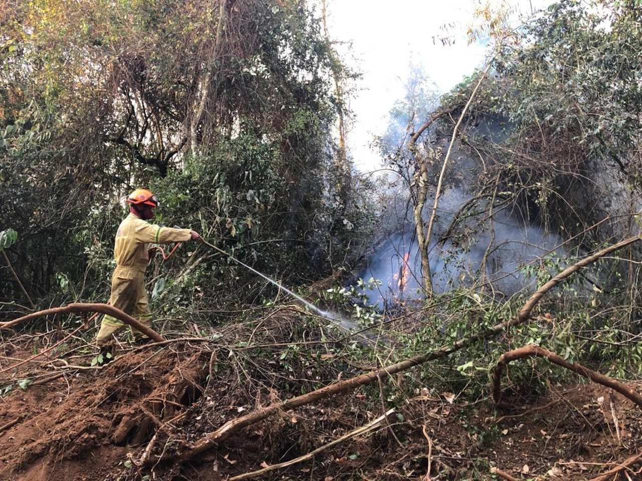 São Carlos terá Brigada para combater incêndios e evitar desastres ambientais - Revista Incêndio