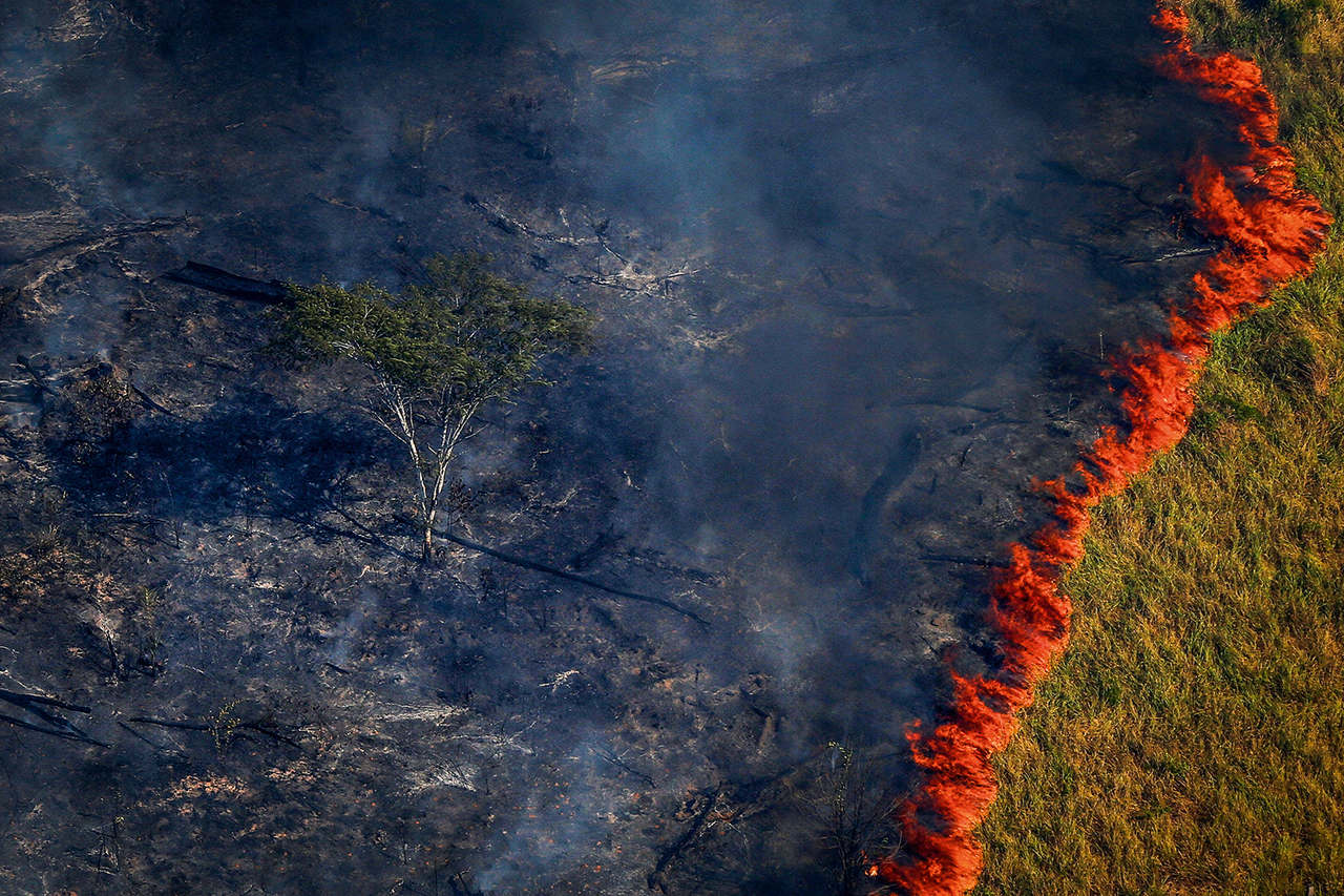 Número de incêndios em São Paulo e na região sul do Brasil explodem devido ao calor - Revista Incêndio