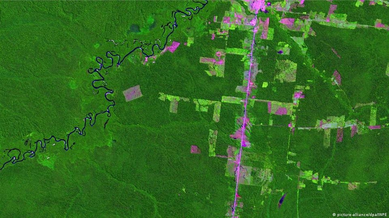 Amazônia: monitoramento por satélite é um recurso para identificar e combater incêndios - Revista Incêndio