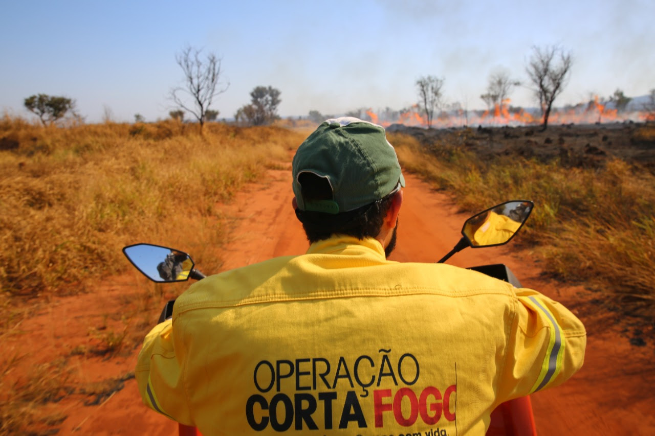 Governo de SP registra queda 67% na incidência de incêndios florestais nas UCs do Estado - Revista Incêndio