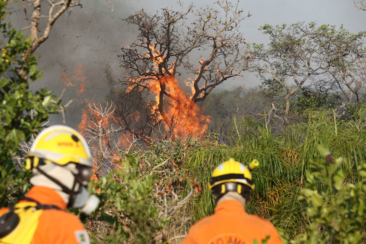 ICMBio aciona brigada própria para combater incêndio no Parque Nacional - Revista Incêndio