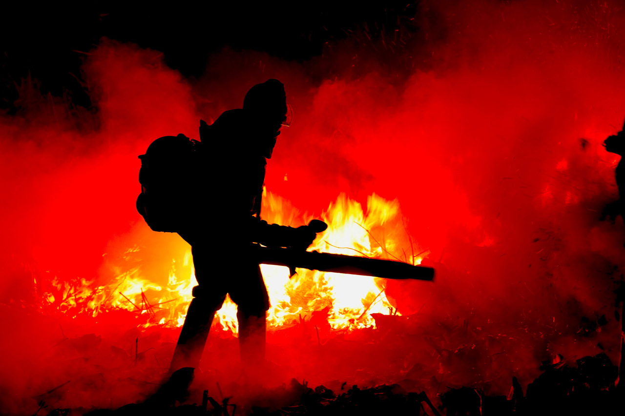 Documentário independente sobre incêndios no Pantanal conquista prêmio de sustentabilidade - Revista Incêndio