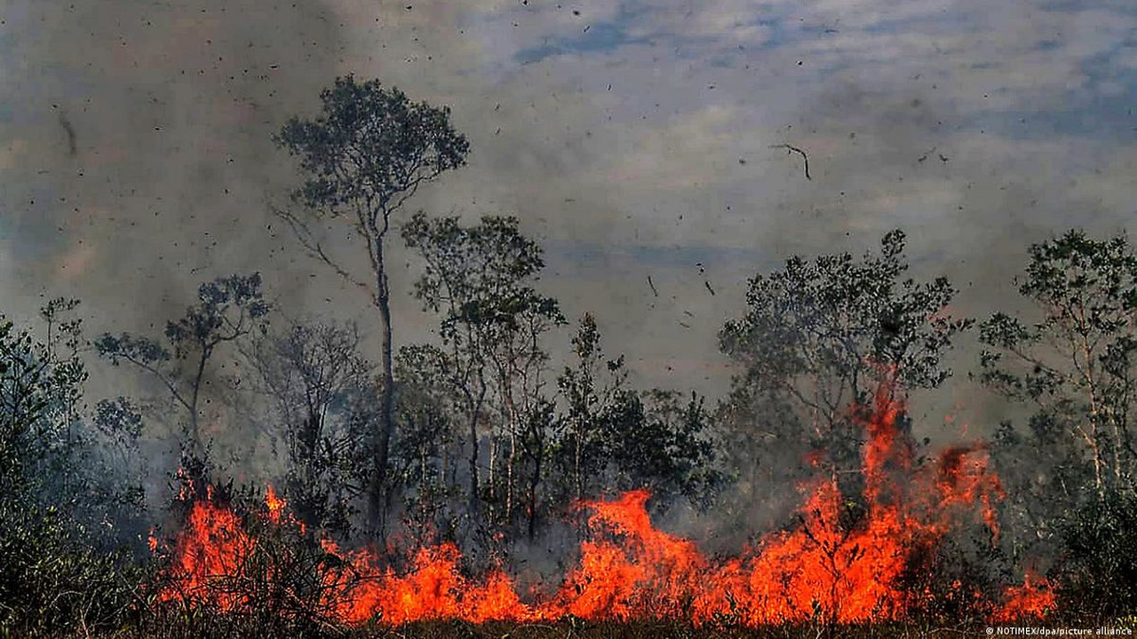 Proposta cria sistema nacional de combate a incêndios florestais - Revista Incêndio