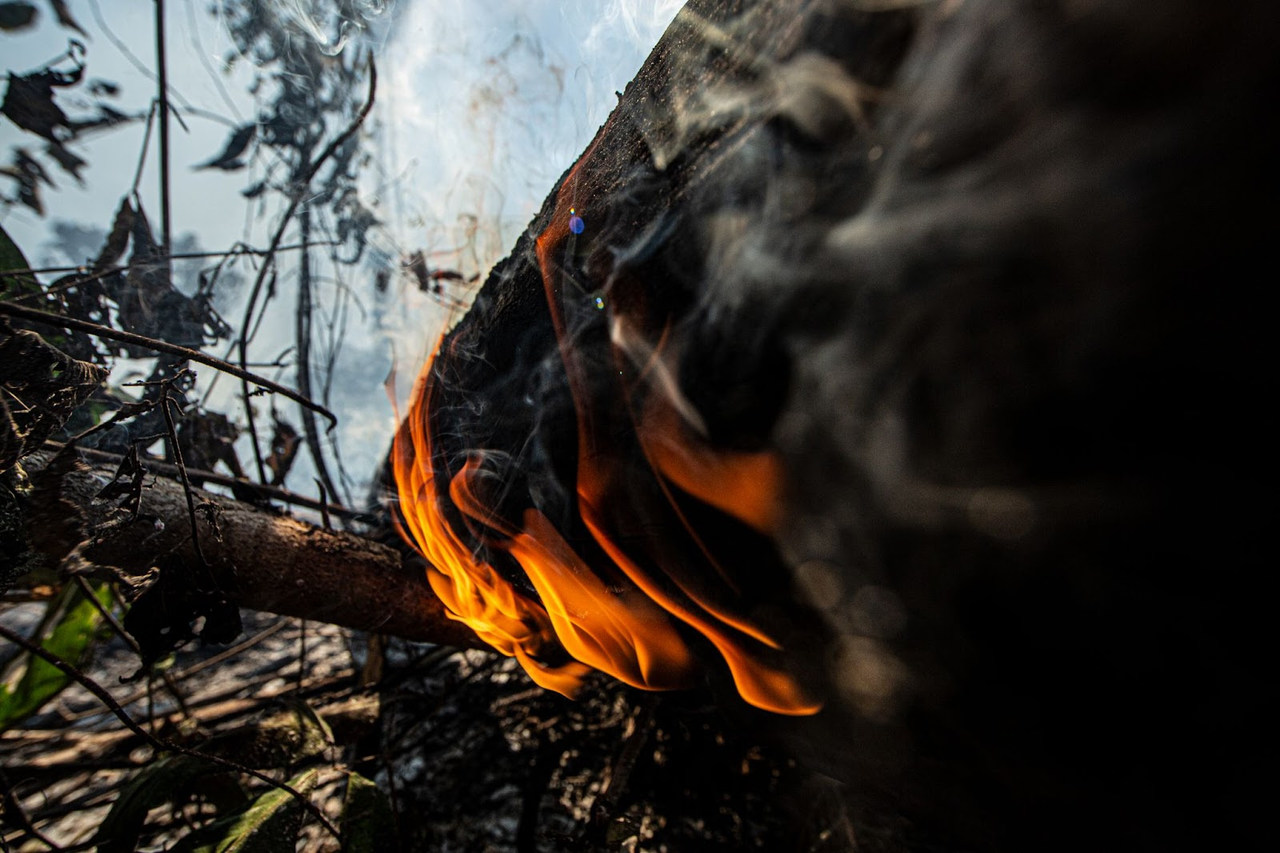 Brasil teve 80% mais incêndios florestais em 2022, mostra Monitor do Fogo - Revista Incêndio