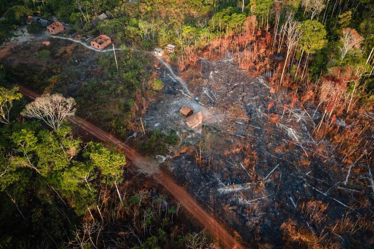 Focos de calor saltam de 2.677 no segundo trimestre para 25.441 nas áreas protegidas da Amazônia Legal - Revista Incêndio