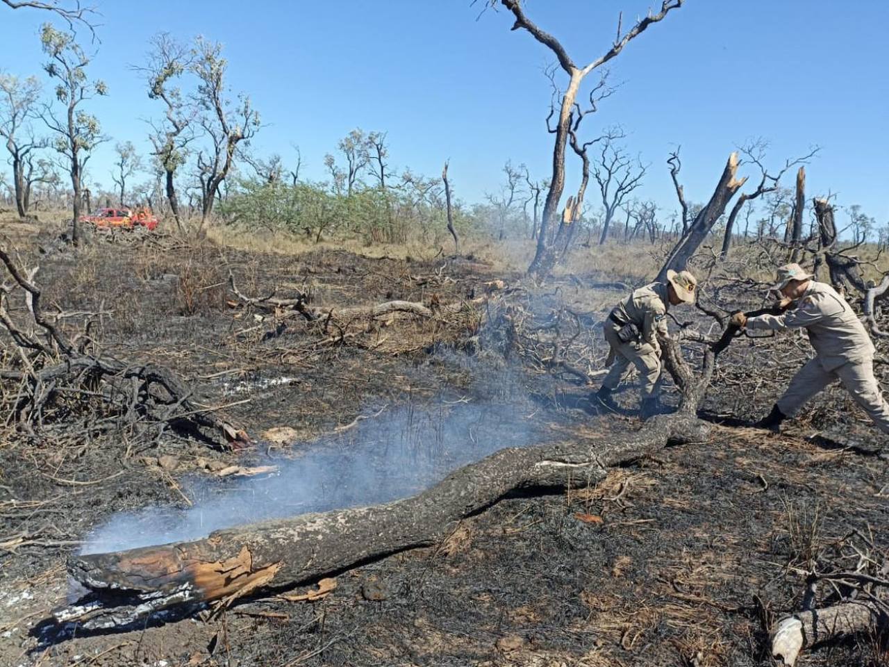 ONG ambiental orienta Grupo de Transição do Governo para reforçar ações contra incêndios no Pantanal - Revista Incêndio