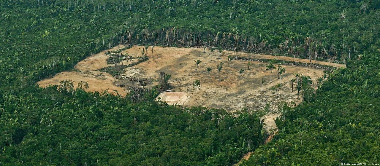 Pesquisa mostra efeitos da queimada experimental na savana amazônica - Revista Incêndio