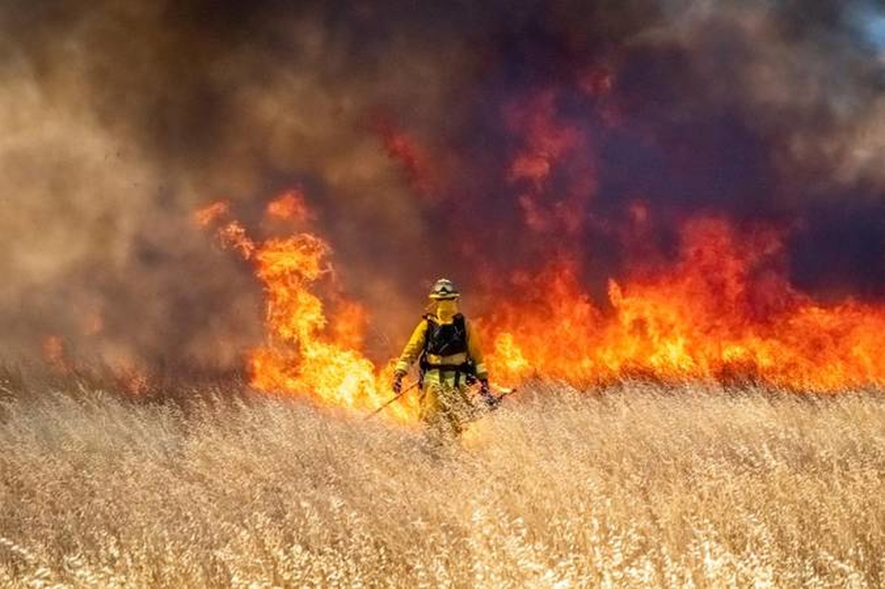 Comissão de Meio Ambiente do Senado pode votar Política Nacional de Manejo do Fogo - Revista Incêndio