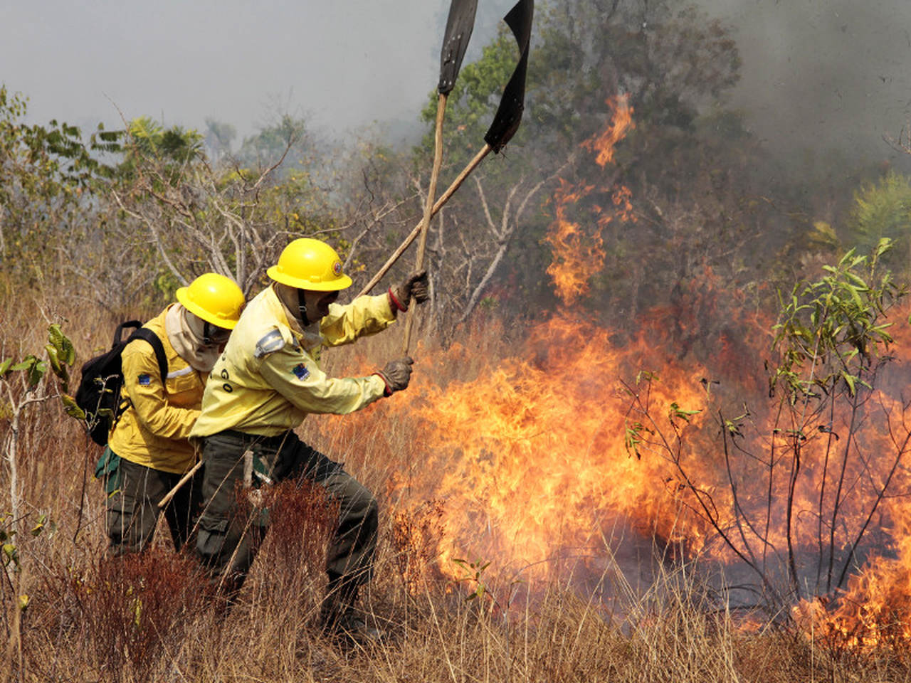 Incêndios florestais são combatidos com ações de voluntários, pesquisa e iniciativa - Revista Incêndio