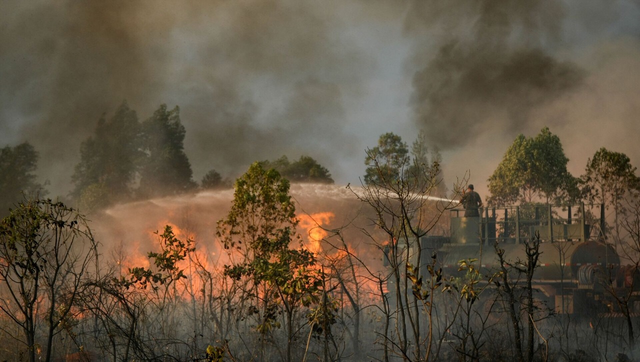 Norma ISO vai definir métricas para o cálculo da taxa de desmatamento com reflexos na área de incêndios florestais - Revista Incêndio