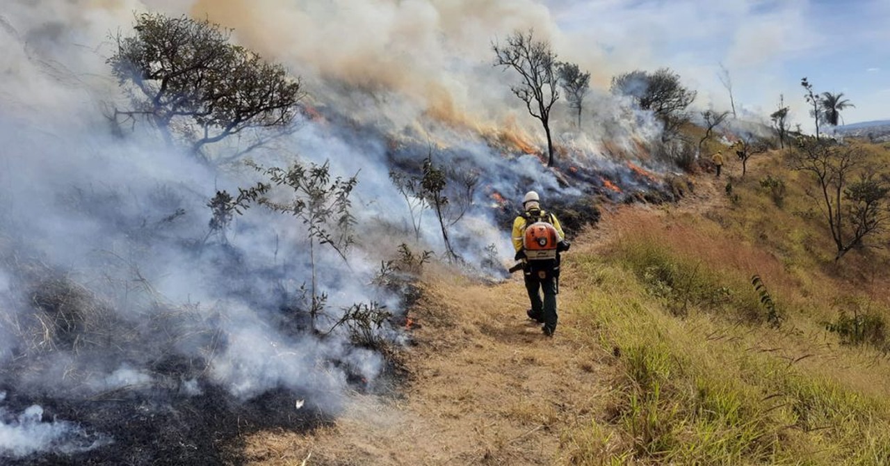 MG promove ações no combate a incêndios florestais - Revista Incêndio