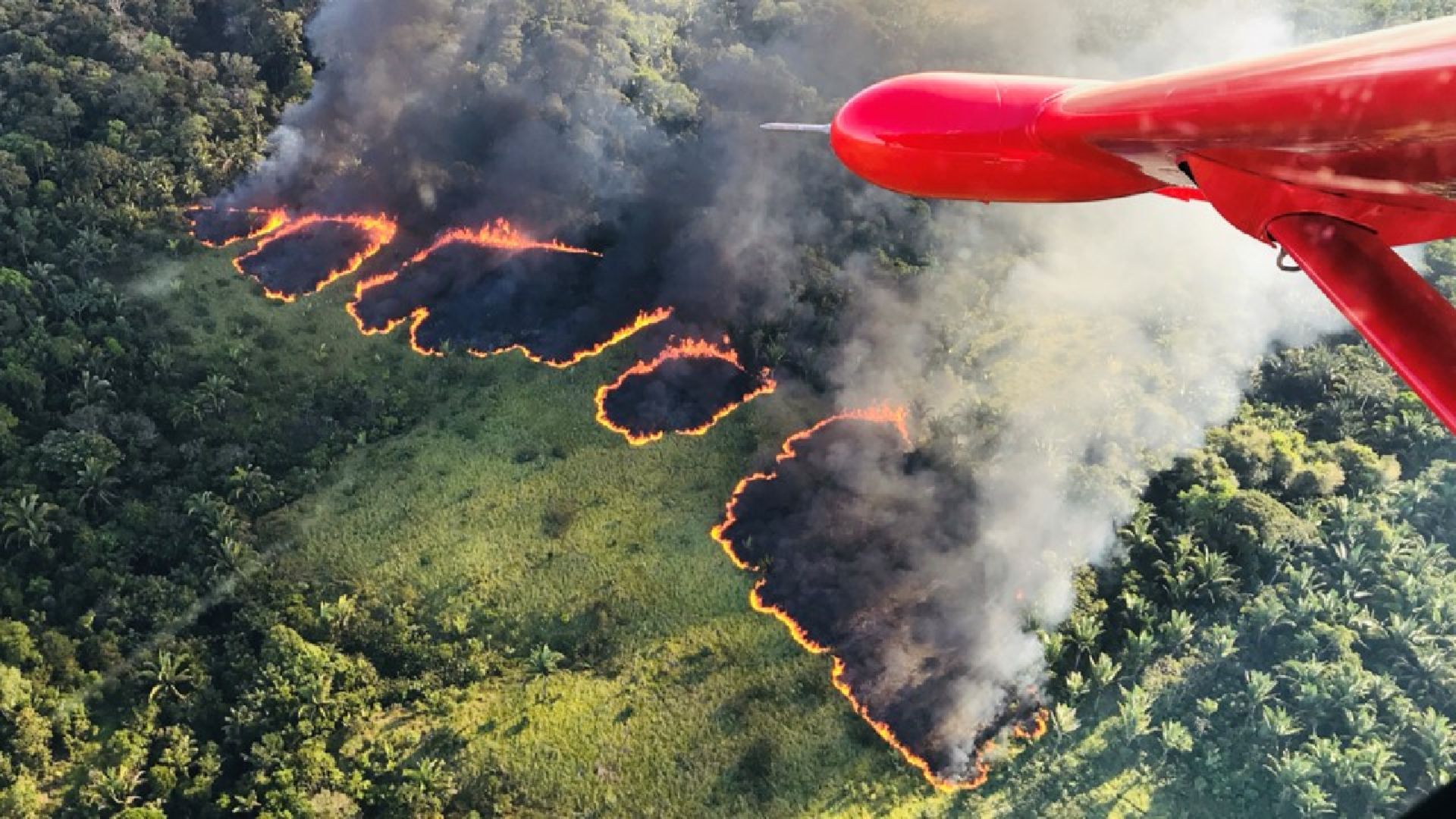 Fundo Amazônia auxilia estados e municípios no combate a incêndios - Revista Incêndio