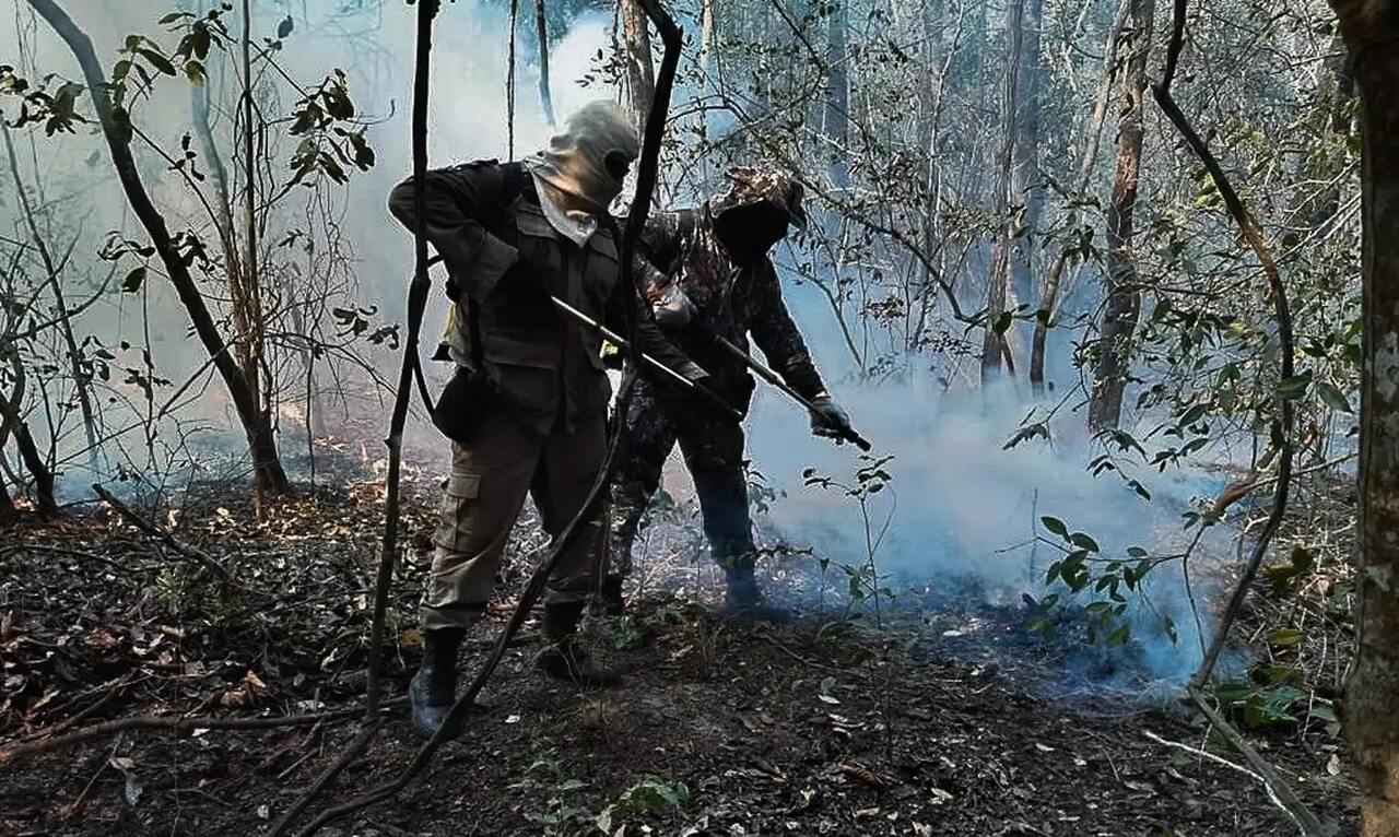 Articulações ajudam no combate a incêndios em regiões ribeirinhas - Revista Incêndio
