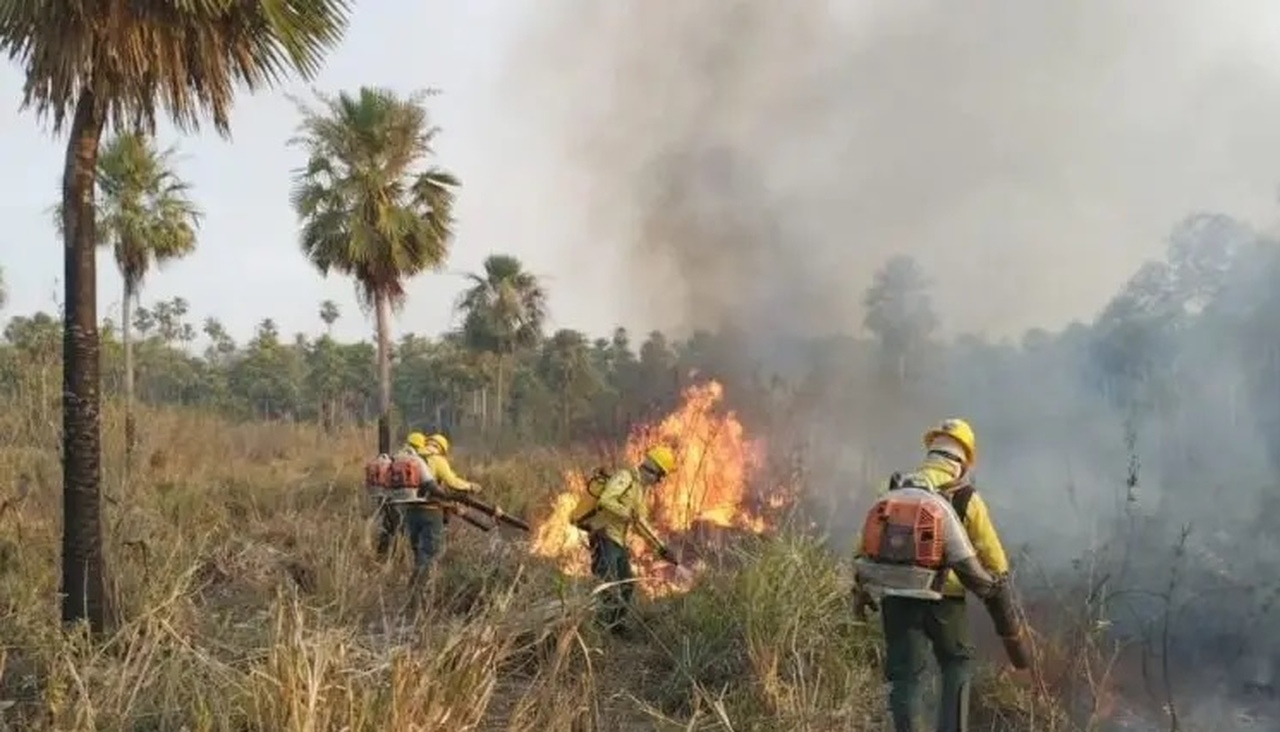 Brigadistas do Ibama e do ICMBio auxiliam no combate ao fogo no Amazonas - Revista Incêndio