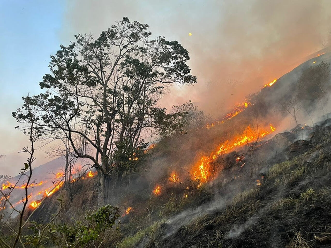São Paulo Sem Fogo: área total atingida por incêndios florestais diminui 86% - Revista Incêndio
