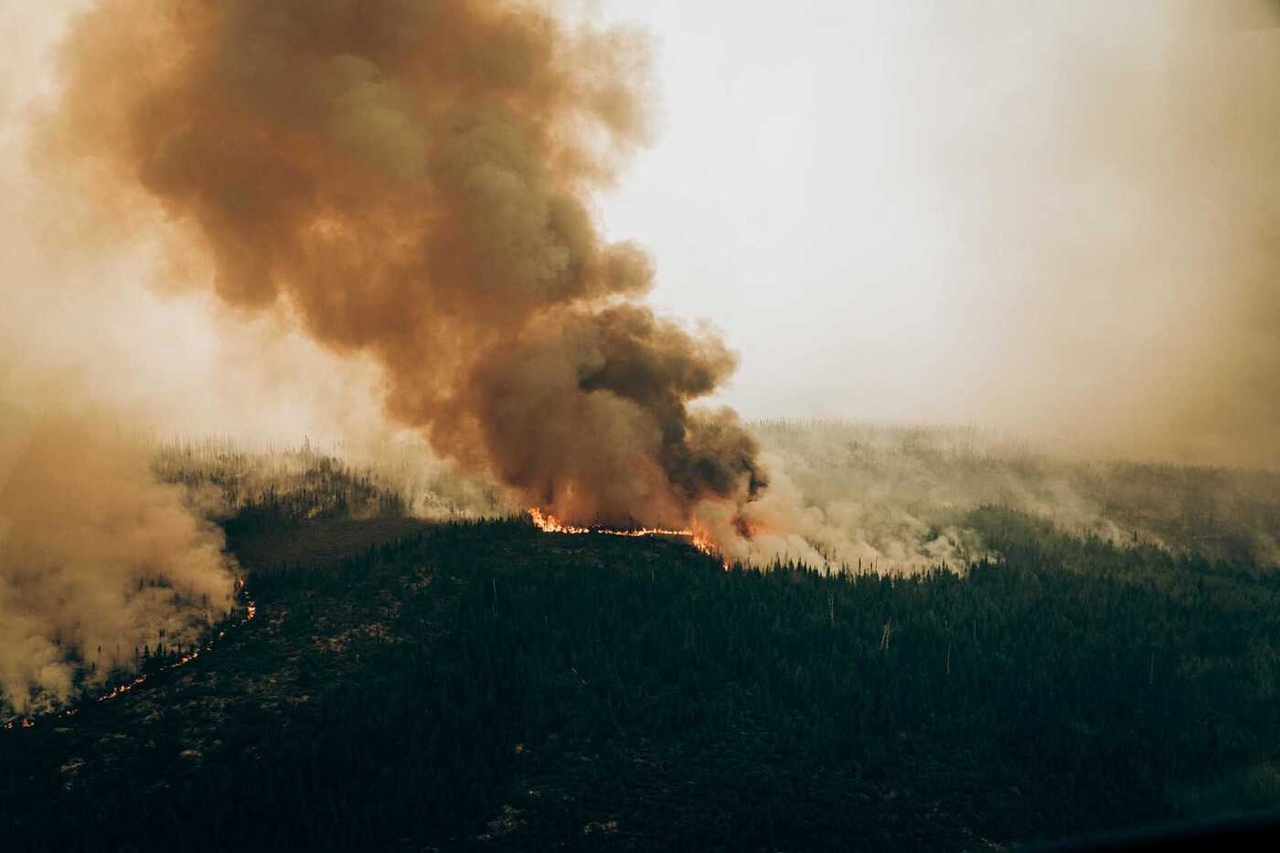 Por dentro das emissões brasileiras: alta de 37% na emissão por incêndios acende alerta para proteção da vegetação nativa - Revista Incêndio