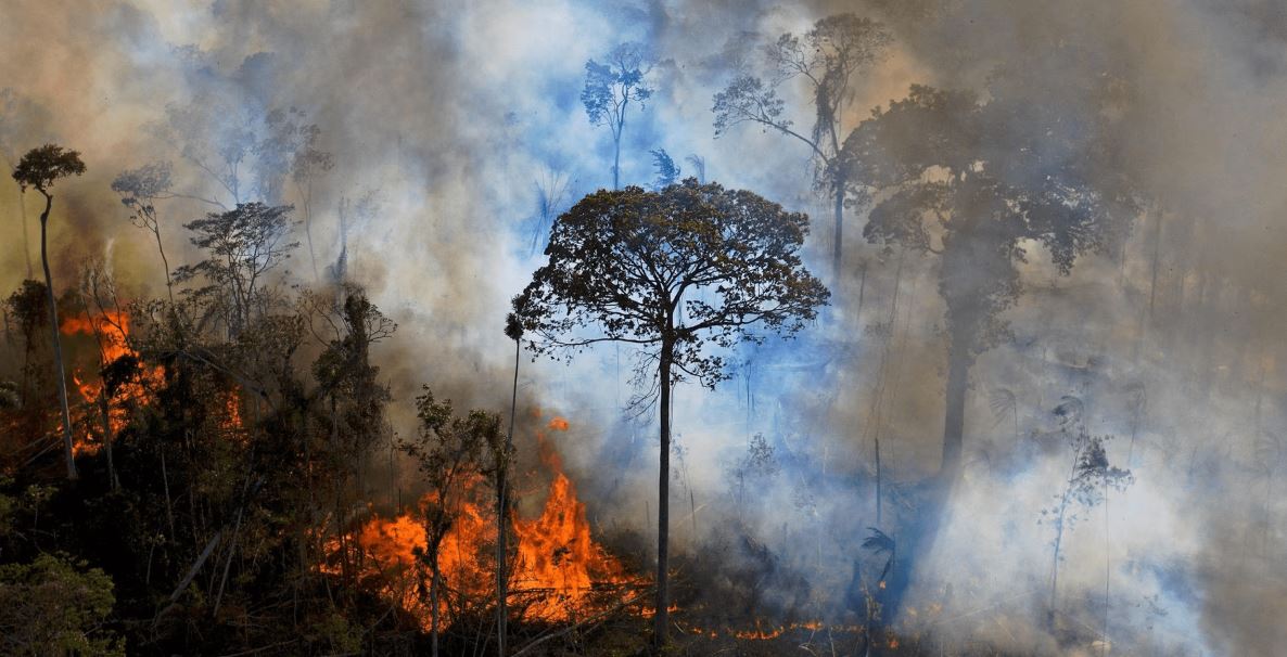 Área queimada aumentou 410% em fevereiro, aponta Monitor do Fogo - Revista Incêndio