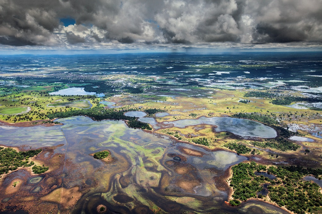 Instituto Tomie Ohtake recebe exposição 'Água Pantanal Fogo' e promove ação em prol do bioma - Revista Incêndio
