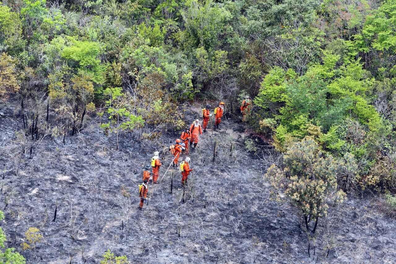 Caravana Bahia Sem Fogo fortalece iniciativas de combate aos incêndios florestais na região da Chapada Diamantina - Revista Incêndio