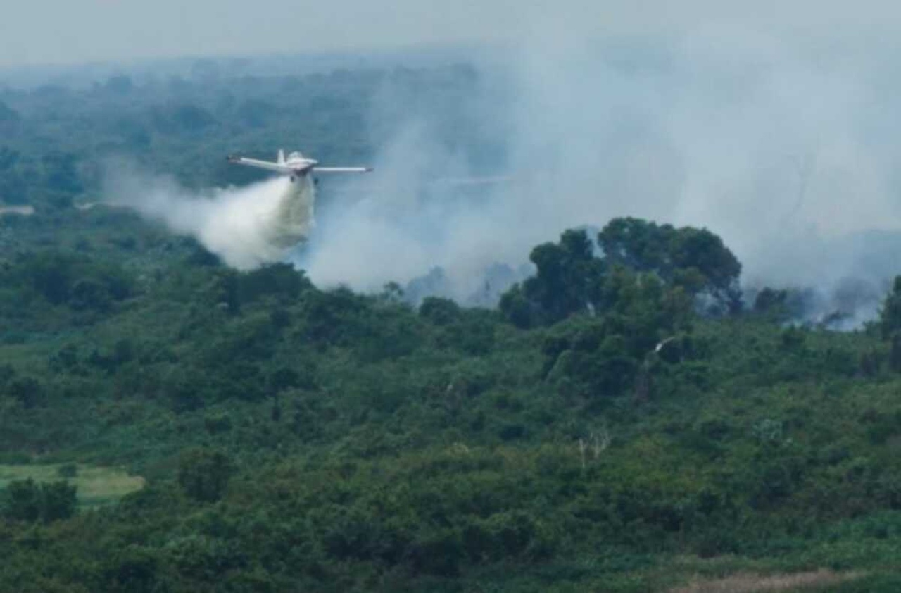 Emergência ambiental: Pantanal terá 13 bases para combater incêndios e monitorar focos de calor - Revista Incêndio